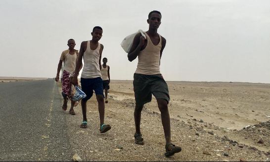 انخفاض معدل تدفق المهاجرين الأفارقة الى اليمن