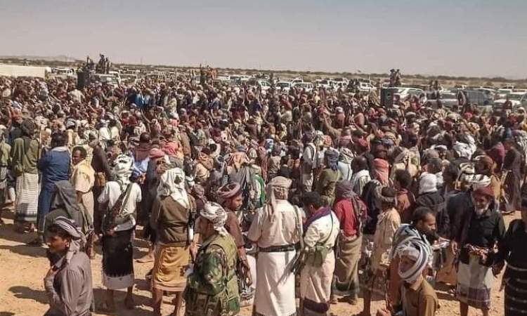 ترتيبات في أبين للزحف على معقل الإنتقالي