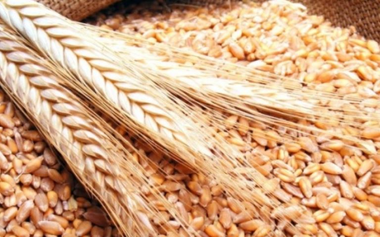 انخفاض أسعار القمح لأدنى مستوى في ثلاثة أشهر وسط منافسة على التصدير
