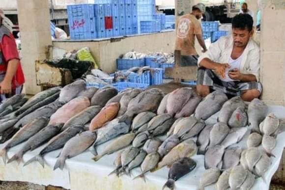 صادرات الأسماك تشعل الأسعار في اليمن