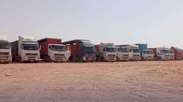 السعودية تمنع دخول الأسماك اليمنية إلى أراضيها