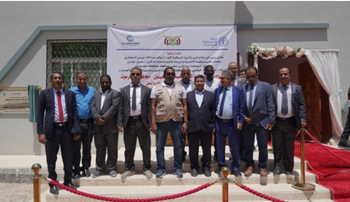 الفاو تنشئ مركزا لمكافحة الجراد الصحراوي في حضرموت