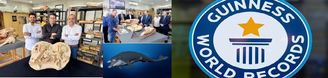 عمرها 41 مليون سنة.. مصر تدخل غينيس بحفرية