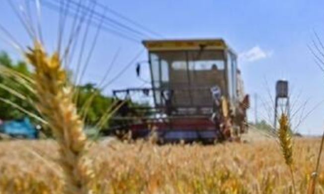الأمم المتحدة تعلن التوصل إلى حل حول تصدير الحبوب الأوكرانية