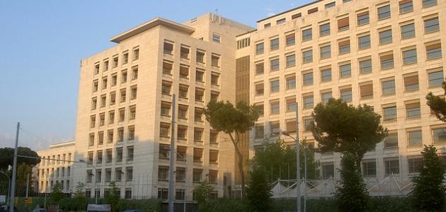 الفاو : صغار المزارعين الأسريين ينتجون ثلث الأغذية في العالم