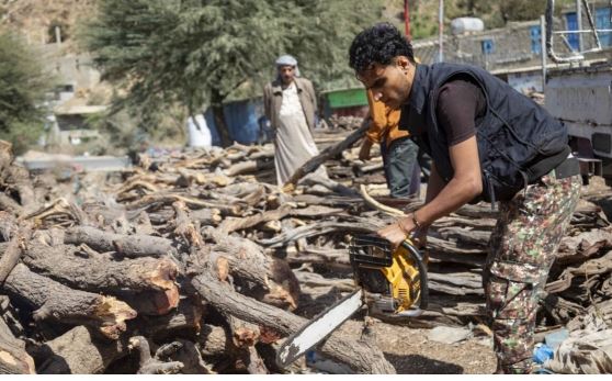  قطع الأشجار في اليمن بديل الغاز والوقود
