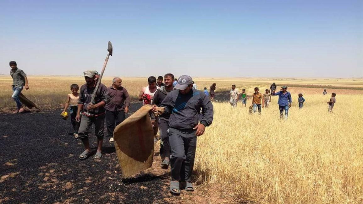 حرائق تلتهم قمح العراق.. من أشعلها؟